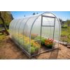 Теплица 40Ц-0.67Л-10 м 2.5 ширина