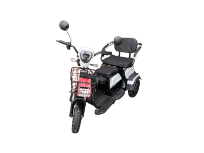 Электрический трицикл SHTENLI Model 30 SLA 48/12