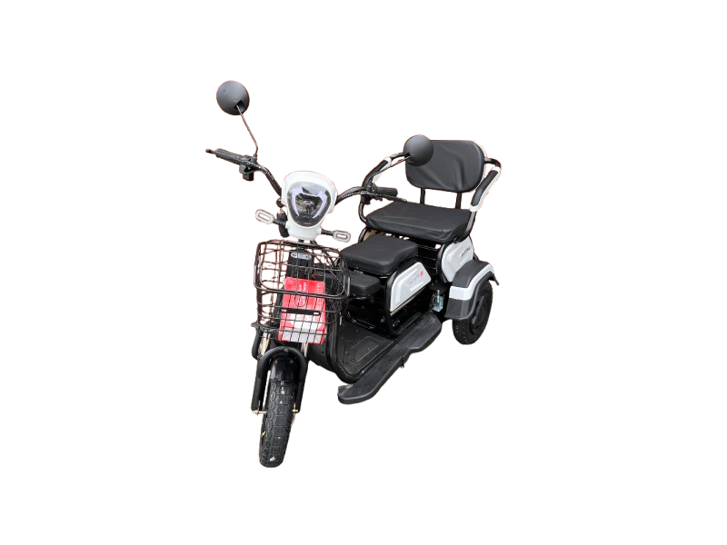 Электрический трицикл SHTENLI Model 30 SLA 48/12