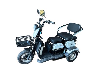 Электрический трицикл SHTENLI Model 31 SLA 48/20