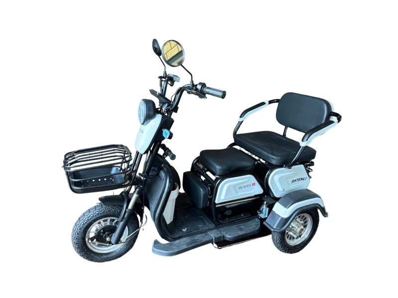 Электрический трицикл SHTENLI Model 31 SLA 48/20