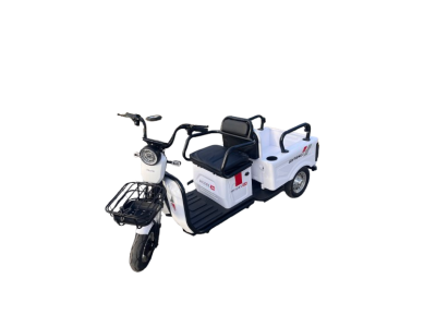 Электрический трицикл SHTENLI Model 34 2 в одном SLA 48/20 1000w