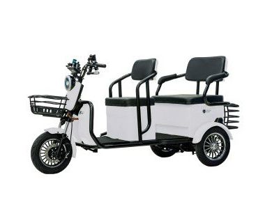 Электрический трицикл Бизнес Класса SHTENLI Model 37 lion 60/20 1000w