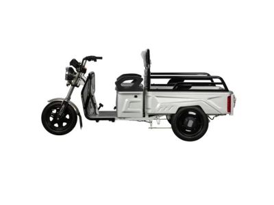 Электрический трицикл SHTENLI Model 90 SLA 48/20