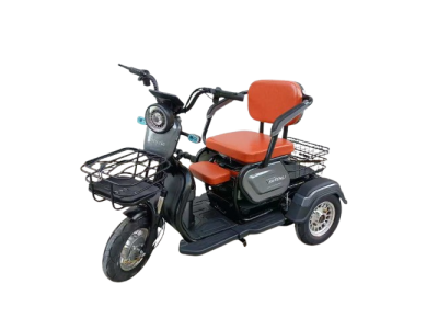 Электрический трицикл SHTENLI Model A031 li-on 48/20 250w