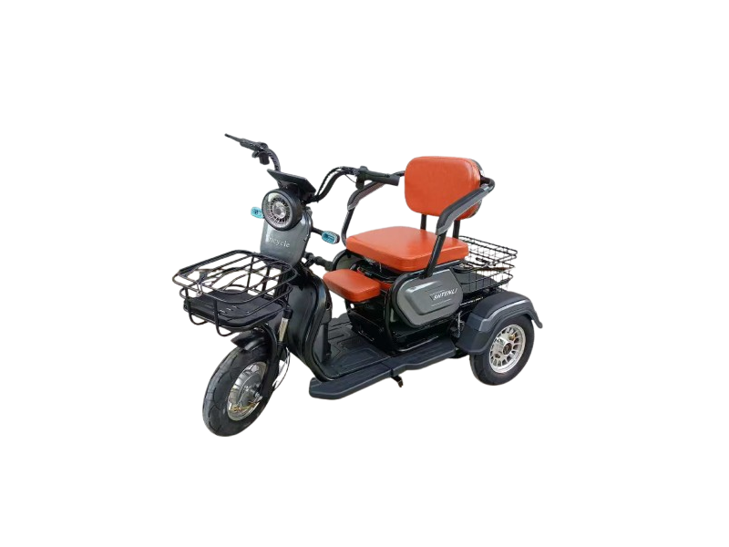 Электрический трицикл SHTENLI Model A031 li-on 48/20 250w