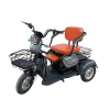 Электрический трицикл SHTENLI Model A031 li-on 48/20 250w