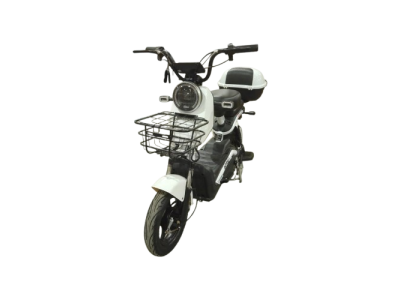 Электроскутер Shtenli Model 21 Performance sla 48/20 (кофр)