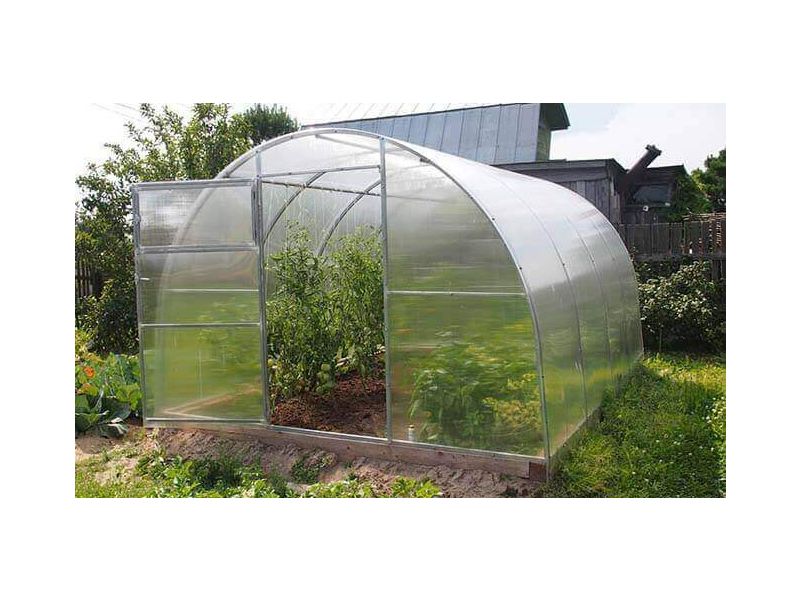 Теплица 25Ц-0.5Л-8 м