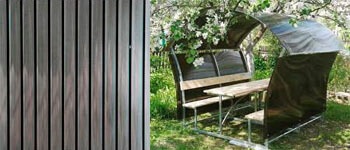 Тонированный